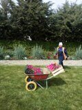 image-2019-05-11 16_26_06